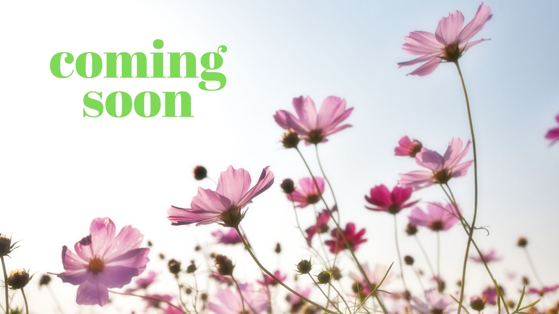 coming soon